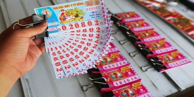 Các thông tin về đại lý cấp 2